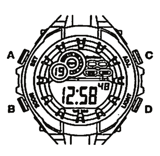 Armitron M833 Series Watch User Manual