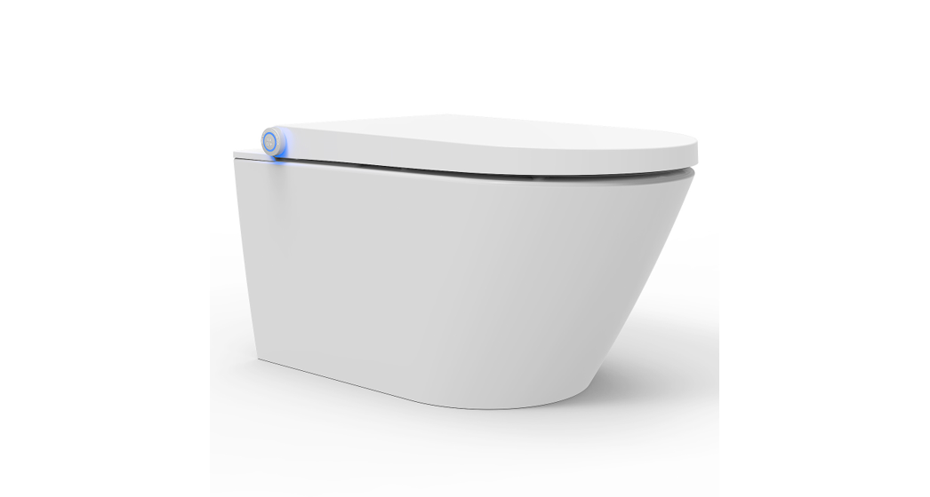 Dusch Pro+ BERNSTEIN Shower Toilet User Manual