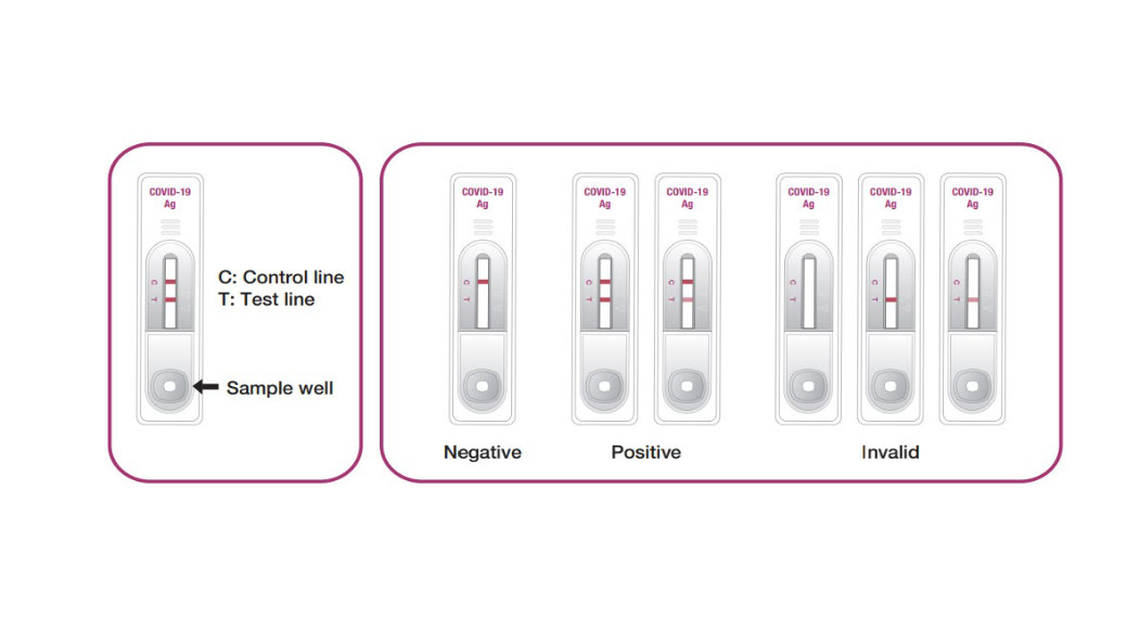 GenBody COVID-19 Ag Rapid Diagnostic Test Instruction Manual