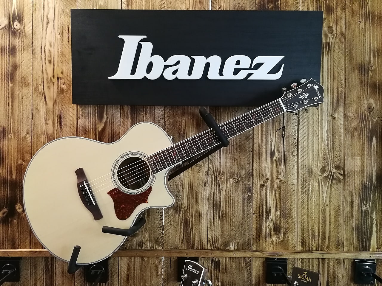 Ibanez Acoustic Guitar User Manual