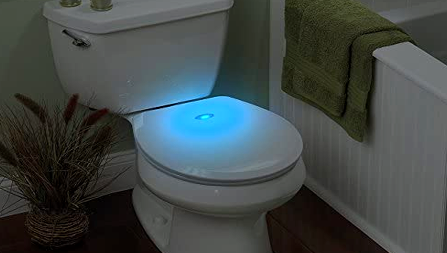 Sharper Image Night Light Toilet Seat Manual