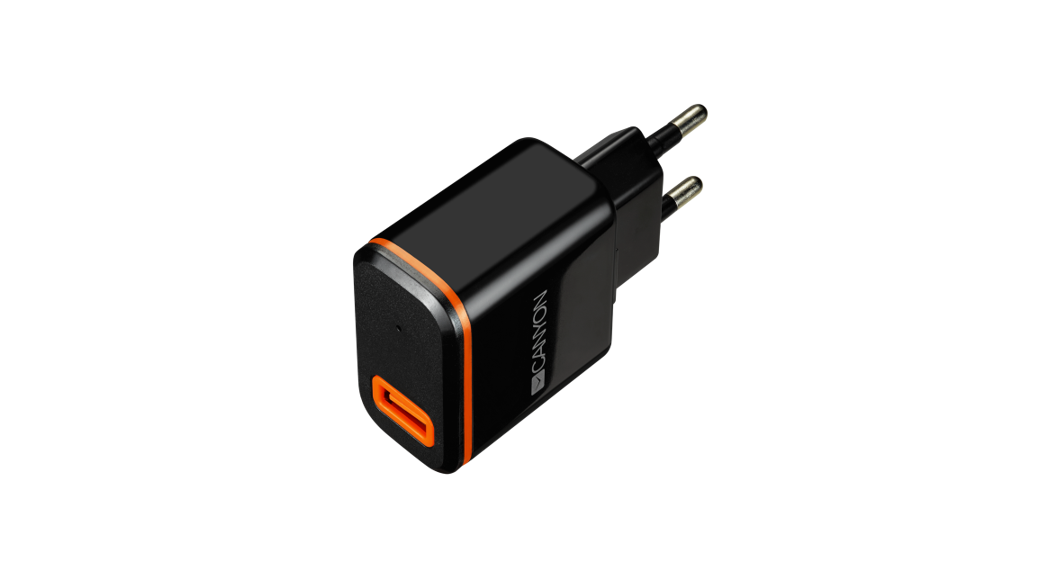 CANYON CNE-CHA042 Wall charger with USB Type C cable User Guide