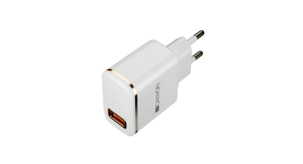 CANYON CNE-CHA043 Wall Charger with Lightning Cable User Guide